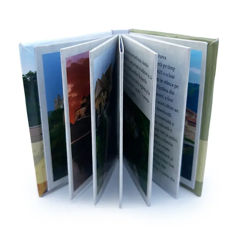 Rasnov, magnet carte